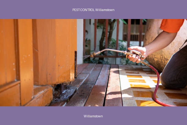 PEST CONTROL Williamstown